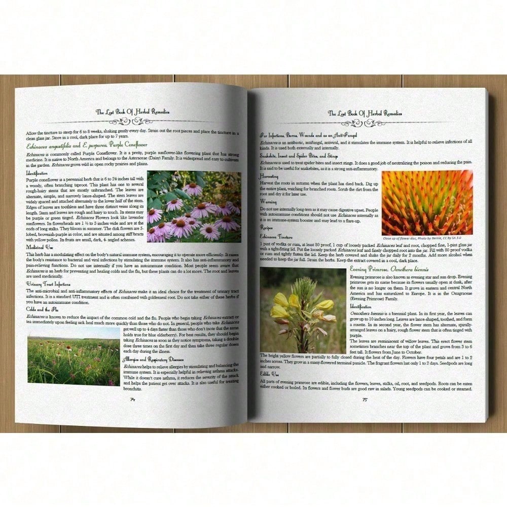 The Lost Book Of Herbl Remedies Fast shipping